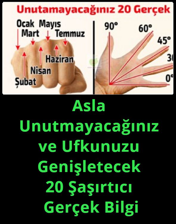 Asla Unutmayacağınız ve Ufkunuzu Genişletecek 20 Şaşırtıcı Gerçek Bilgi