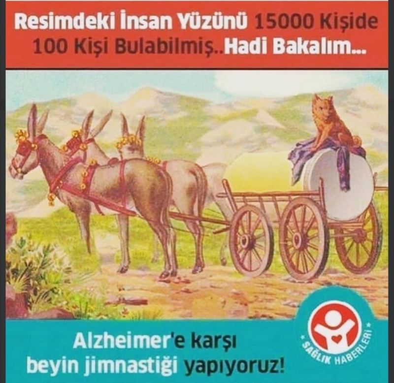 Resimdeki İnsan yüzünü 15000 kişiden 100 kisi bulabilmiş.