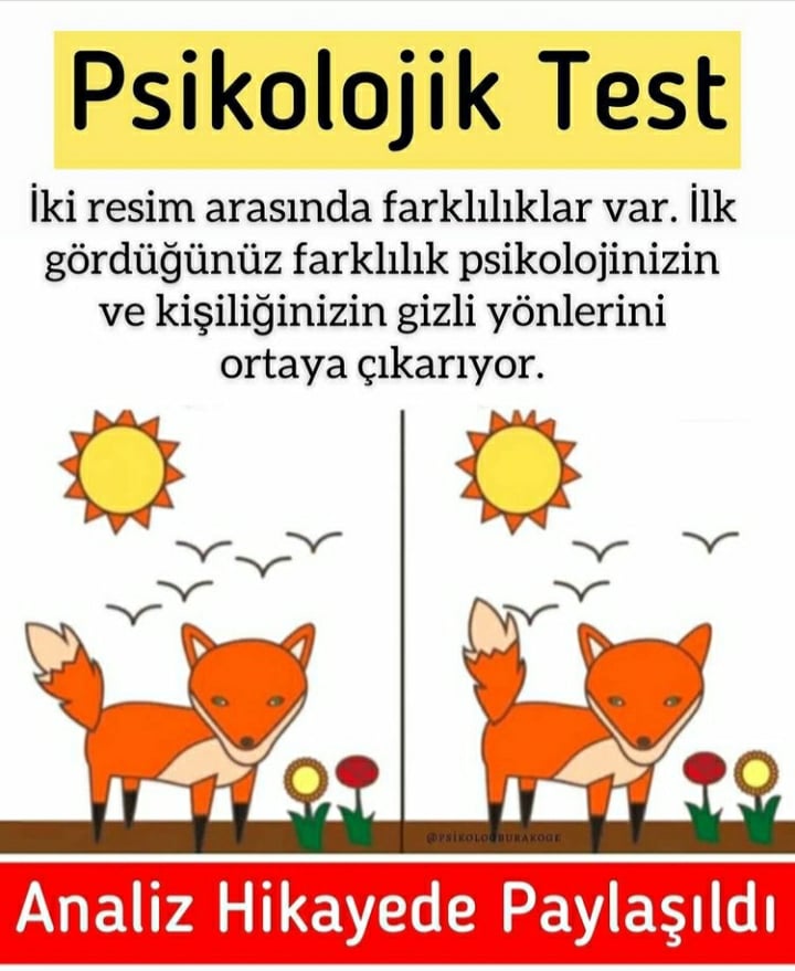 İKİ RESİM ARASINDA FARKLILIKLAR VAR. İLK GÖRDÜĞÜNÜZ FARKLILIK PSİKOLOJİNİZİN VE KİŞİLİĞİNİZİN GİZLİ YÖNLERİNİ ORTAYA ÇIKARIYOR