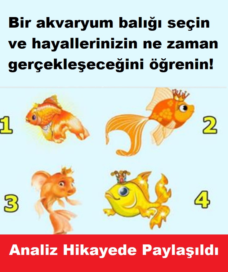 Bir akvaryum balığı seçin ve hayallerinizin ne zaman gerçekleşeceğini öğrenin!