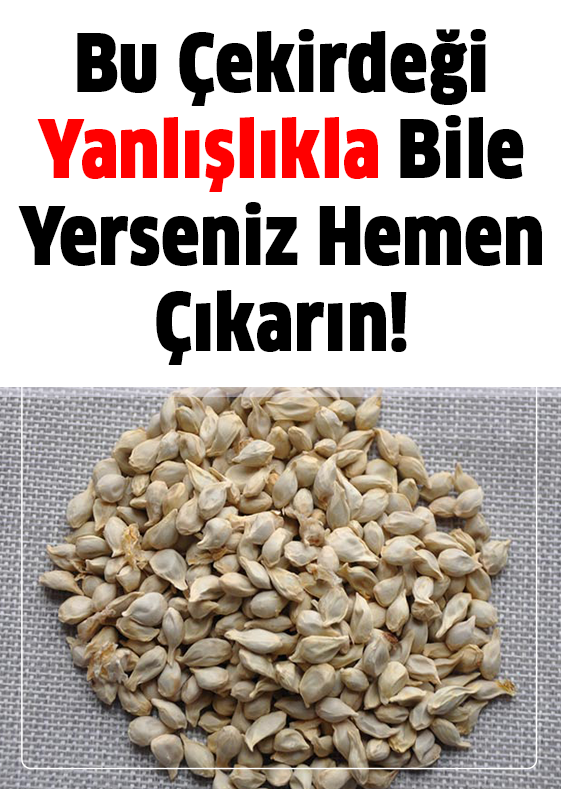 Bu Çekirdeği Yanlışlıkla Bile Yutarsanız Hemen Çıkarın
