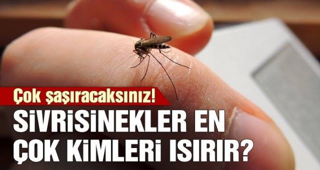 Sivrisineklerin En Çok Isırdığı Kişiler