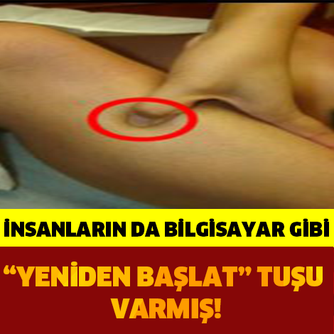 İnsanların da Bilgisayar Gibi 'Yeniden Başlat' Tuşu Varmış!