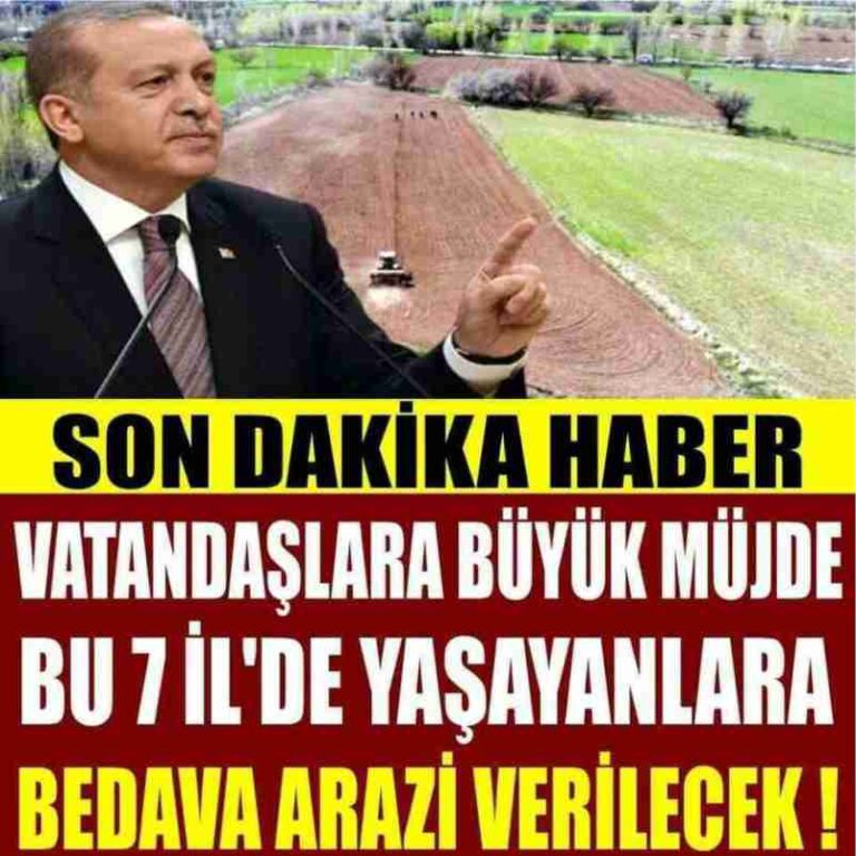 Dikkat! Bu 7 Şehirde Yaşayanlara Bedava Arazi Verilecek