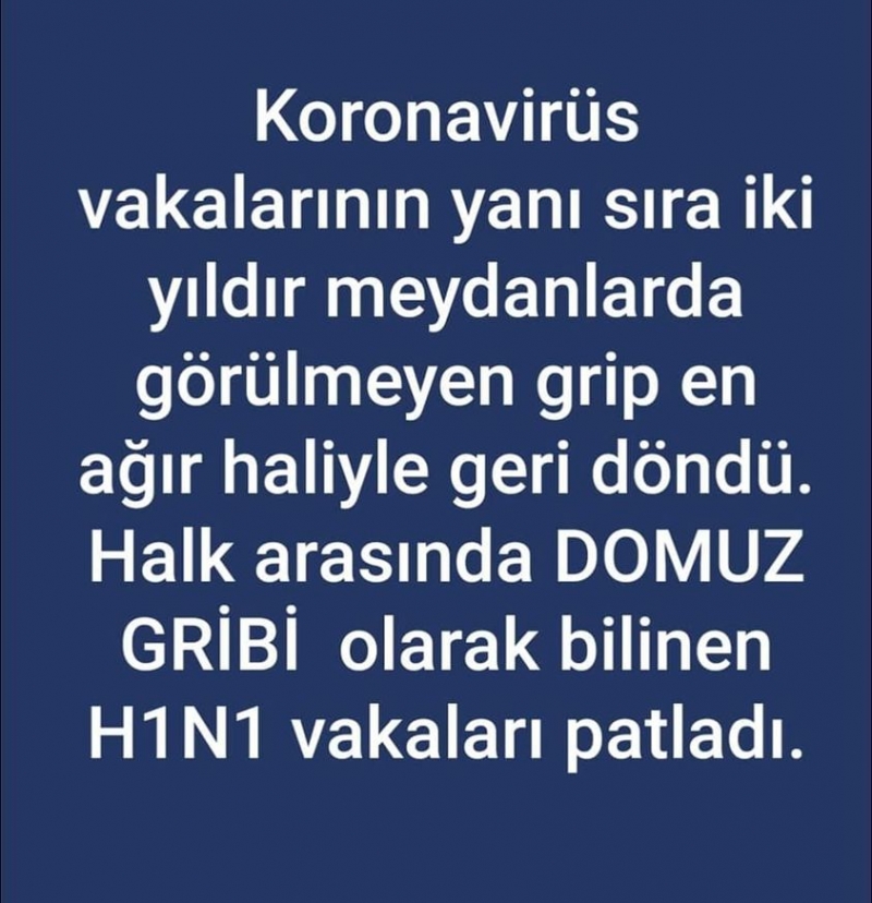 DOMUZ GRİBİ VAKALARINDA KORKUTAN ARTIŞ. İŞTE EN ÖNEMLİ BELİRTİLERİ