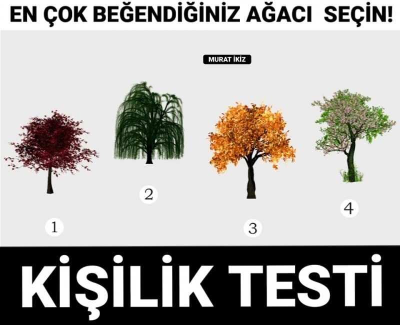 Kişilik Testi: En Beğendiğiniz Ağacı Seçin ve Sonuçlara Bakın
