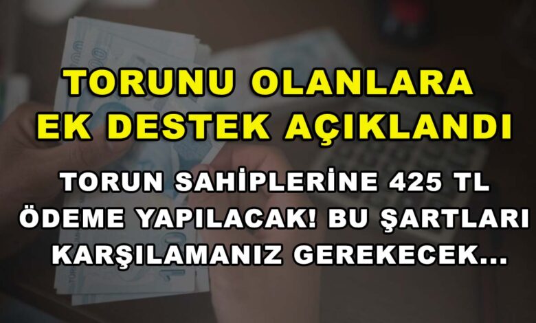 Torunu olanlara ek destek açıklandı: Torun sahiplerine 425 TL ödeme yapılacak! Bu şartları karşılamanız gerekecek…