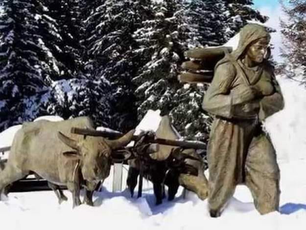 Şerife Gelin 16 yaşında evlendirilir.