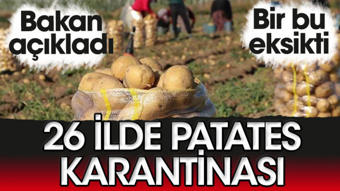 Bir Bu Eksikti: Patates sebebiyle 26 ilde karantina başladı! Patates yerken çok dikkat edin!