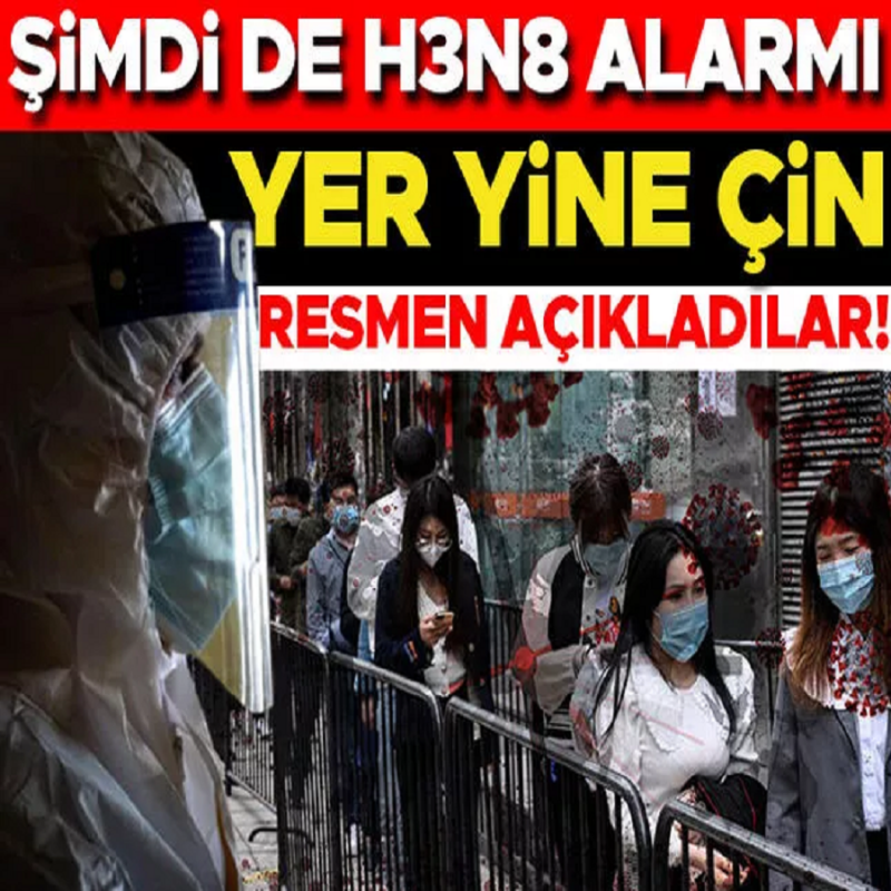 Son Dakika: Korona bitti diye sevinirken, şimdi de H3N8 alarmı... Çin'den resmi açıklama geldi!