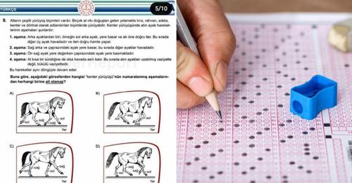 LGS'de sorulan at sorusu gündeme oturdu.  İşte o soru, sorunun cevabı ve amacı!