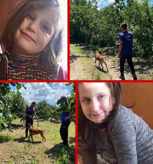 Otizmli Emine Ayhan 7 Gündür Kayıptı. Tüm Samsun Seferber Olmuş Ve Minik Emine'yi Ormanda Aranıyordu. Herkesi Üzen Haber Geldi.
