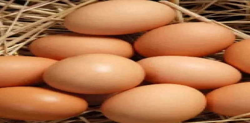 Arjantin'de Enflasyonu bahane eden yumurta satıcısı