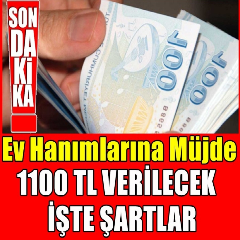 İşte Başvuru Şartları