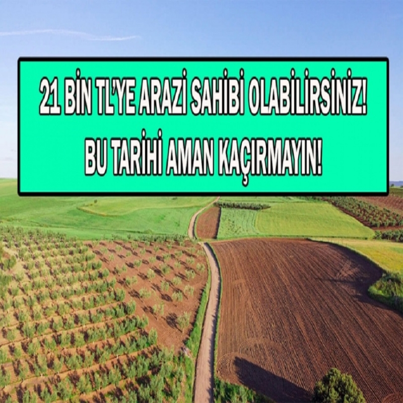 Milli Emlak 21 bin TL'ye arazi satacak! İşte başvuru şartları