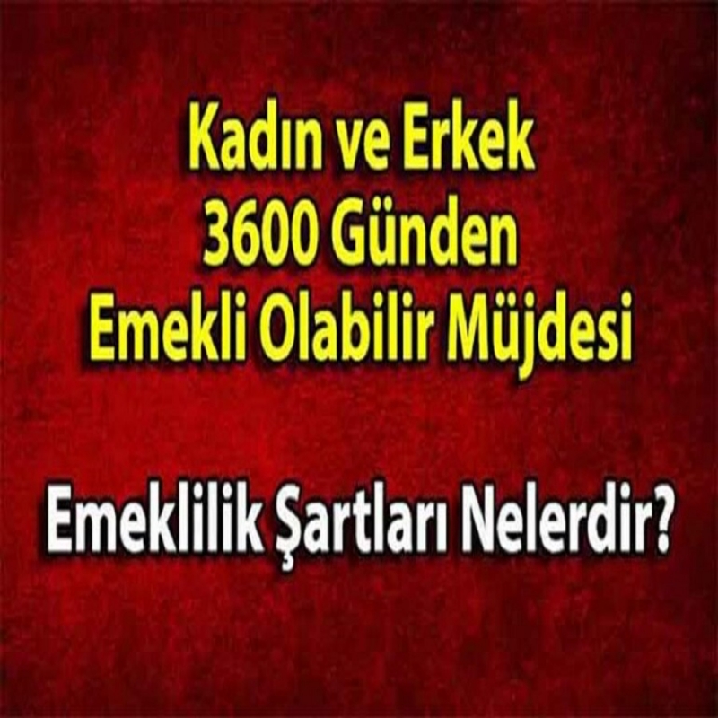 3600 Pirimi olan kadın ve erklere emeklilik geliyor! TEK ŞARTI VAR