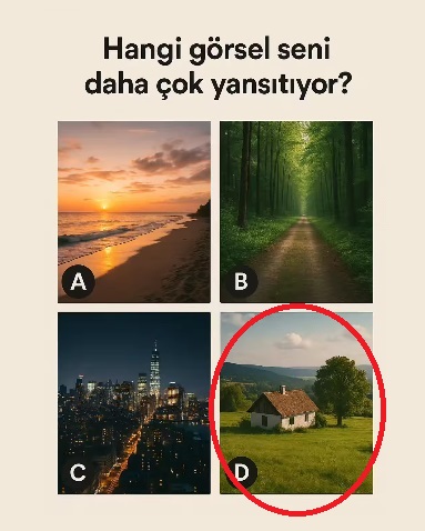 Hangi Görsel Seni Daha Çok Yansıtıyor?