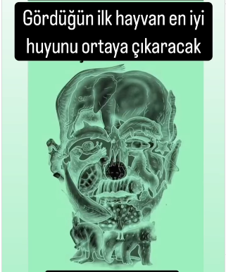 Gördüğün ilk hayvan en iyi huyunu ortaya çıkaracak. İlk hangi hayvan gördün yorumlarda belirt