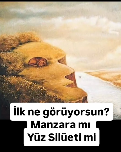 İlk Bakışta Neyi Gördün?