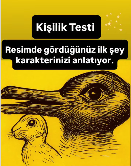 Kişilik Testi İlk bakışta ne gördünüz: 