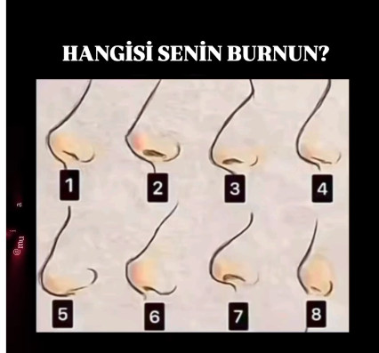 HANGİSİ SENİN BURNUN? BURUN ŞEKLİNİZE GÖRE KİŞİLİK ANALİZİ