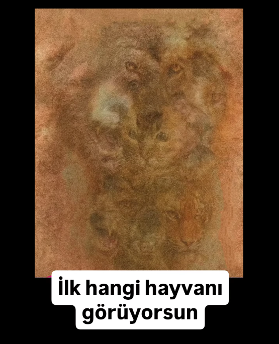 İlk Hangi Hayvanı Gördün?