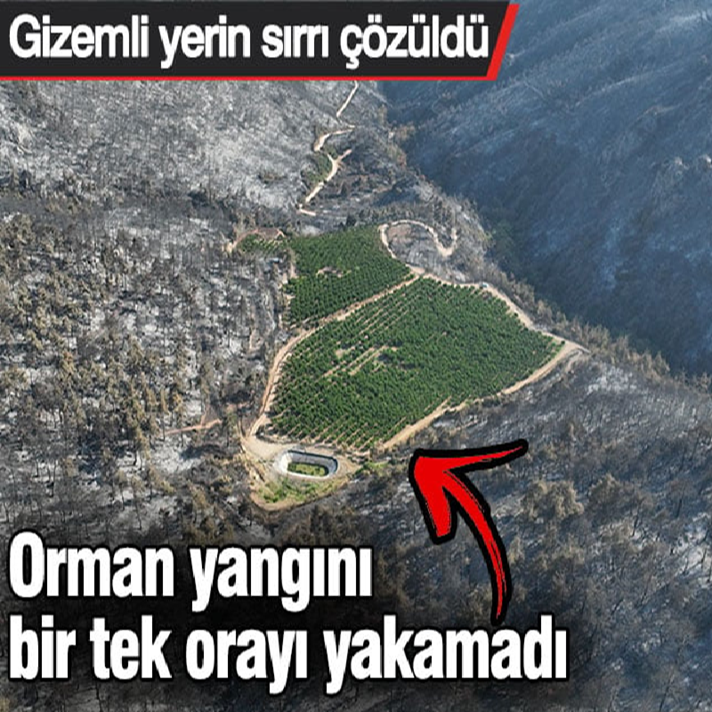 Orman yangını bir tek orayı yakamadı. Gizemli yerin sırrı çözüldü