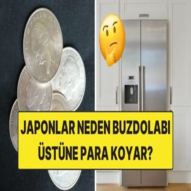 Japonlar Neden Buzdolabı Üstüne Para Koyar? İşte İlginç Neden!