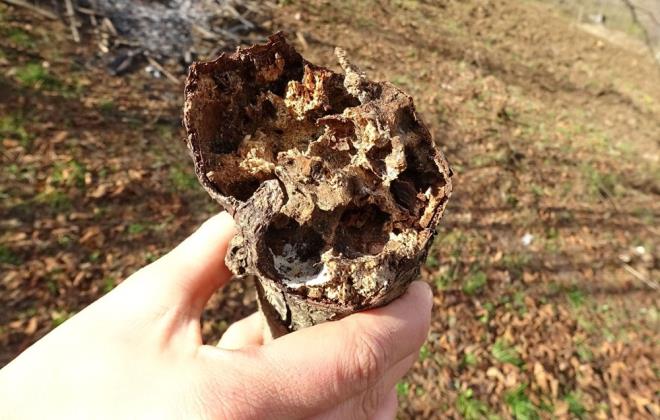 7 Mahalle Karantina Altına Alındı. Sebebi İse Korona Değil