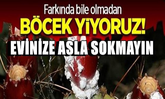 Aman Dikkat! Ürün Etiketinde bu yazıyorsa eğer evinizden uzak tutun