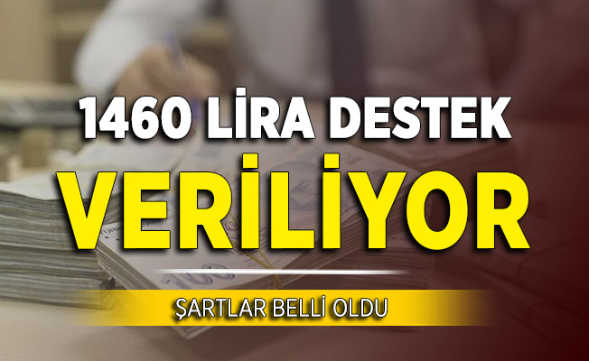 Bakanlık Ailelere 1460 Lira Destek Veriyor. İşte Başvuru Şartları