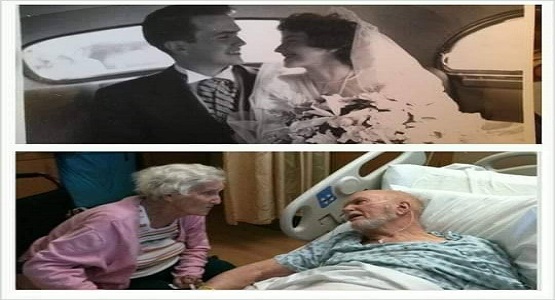 Bizimkiler bundan 38 sene önce tanışmış. Peder bey taze tıp öğrencisi, anne kişisi fransız kültür çömezi. 
