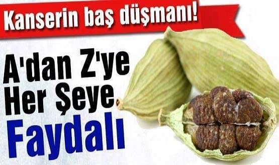  Bu küçük ama etkili bu bitkinin pek bilinmeyen 13 önemli faydası: