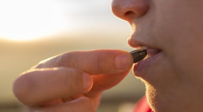 Çekirdek çitlemek..