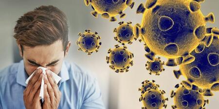 Coronavirüse Dair Sır Ortaya Çıktı. İşte Virüsün En Sevdiği Sıcaklık Derecesi
