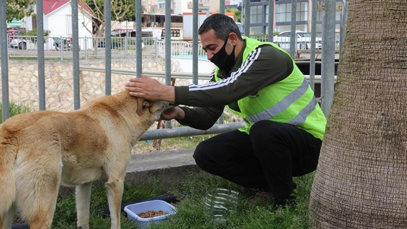 Hayat Ne Zaman Eskiye Dönecek? İşte Bilimsel AÇıklama