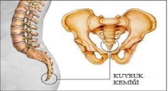 İLGİNÇ BİR OLAY...