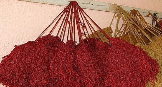 İPLİĞİN SIRRI