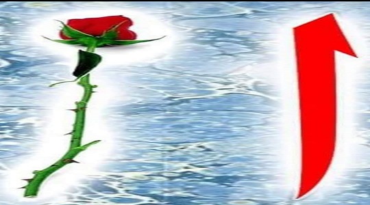 İSİM TESTİ İÇİN DEĞERLENDİRME KRİTERİ