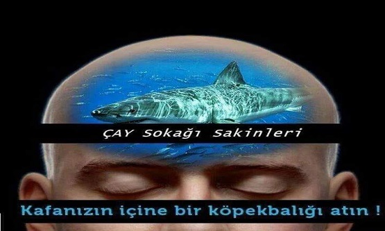 Kafanızın içine Bir Köpek Balığı Atın !!!!!!!!!