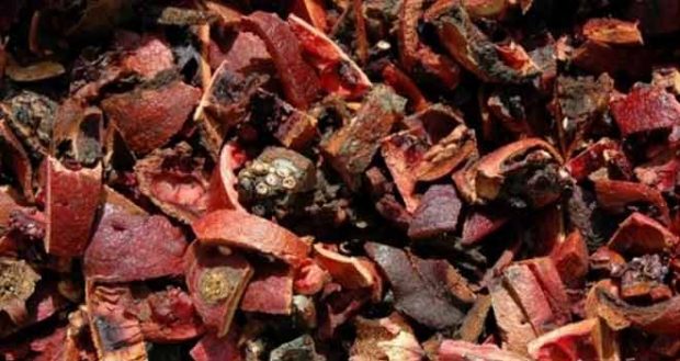 Mucize Bitki: Coronayı Yüzde 91 Oranında Öldürüyor