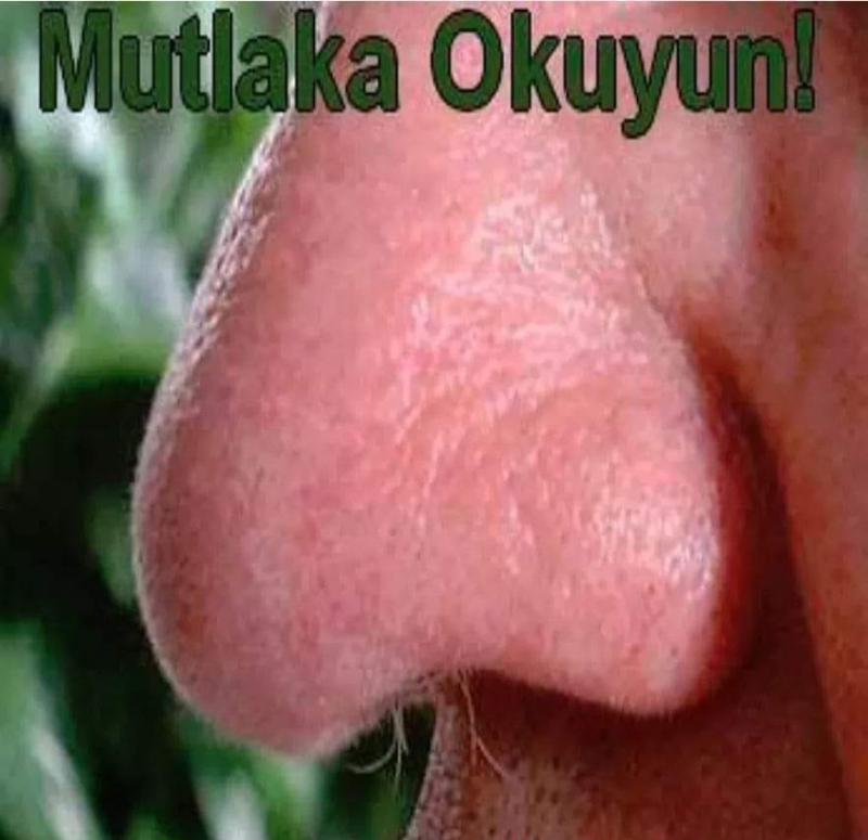 MUTLAKA OKUMALISINIZ: BURNUNDAN KIL ALDIRTMAYANLARIN BAŞI ÇOK AĞRIYABİLİR .