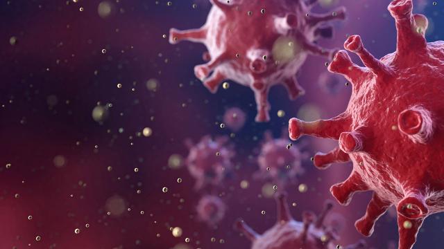 O ilimizde 10 kişide yeni mutasyonlu koronavirüs tespit edildi!