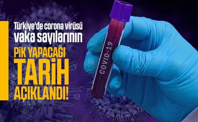 Türkiye'de Corona Virüsün Pik Yapacağı Tarih Belli Oldu