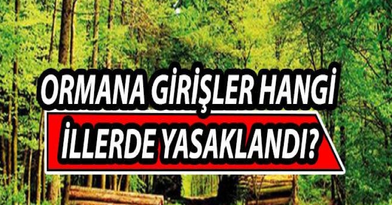 Üç ilimizde ormanlara ve piknik alanlarına girişler kısıtlandı