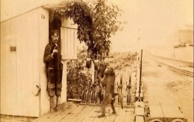 1880 yılında James Edwin Wide adındaki engelli demiryolu işçisi, Güney Afrika pazarını gezerken gerçeküstü bir şeye tanık oldu: