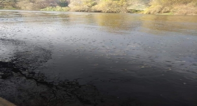 1923 doğumlu Senegalli şair, yazar, yapımcı, yönetmen Ousmane Sembène 1997 yılında kraliçenin özel onur ödülüne layık görülür.