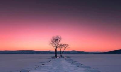 Kral, dondurucu bir kış mevsiminde gecenin soğuğunda nöbet tutan bir muhafıza sordu

