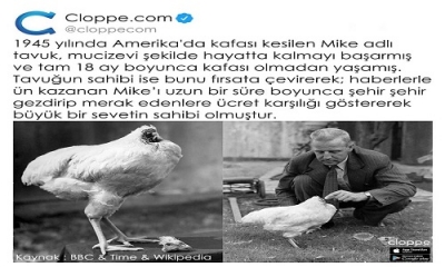 74 yıl önce Amerika, Colorado'da bir çiftçi olan Lloyd Olsen'in yemek için kestiği horoz, kafası kesilmesine rağmen ayakta durmaya devam eder ve 
