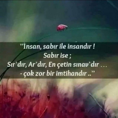 80 Yaşında Boşanan Kadının Hikayesi